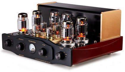 PIER AUDIO MS88SE amplificatore valvolare push-pull KT88